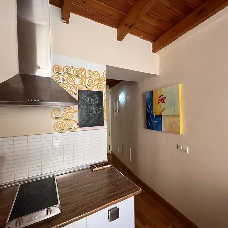 Duplex Luxury Carreteria Apartment *
